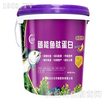 ̼���~�ĵ���-�֠�٥-�֠���