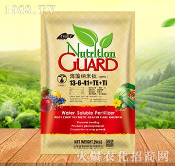 ����{����13-6-41+TE+Ti������-���ԁ��