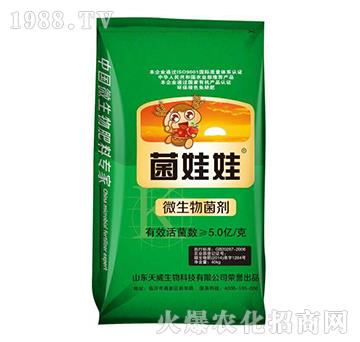 40kg΢�������-������-��������