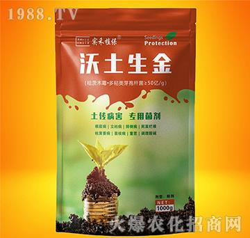 ��������-��(sh��)��