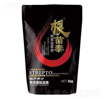 ��(x��)�S�ù��-����̩-̩��(l��i)�ʘI(y��)