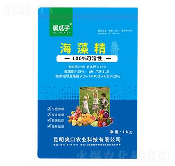 ���徫-�ڹ���-�µ���