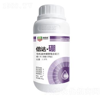 300g���_(d��)����-��