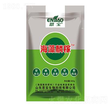 ������ڣ�500g��-