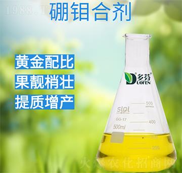 ���f�τ�-����r�I(y��)