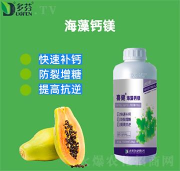 �����}�V-ϲ��-����r�I(y��)