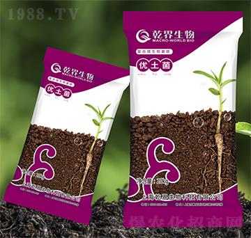 ��(y��u)����-Ǭ������