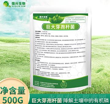 �޴�ѿ�ߗU��-���d����