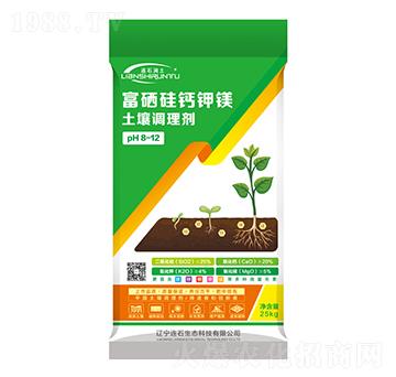 �����{�턩���������}��V��-�Bʯ����