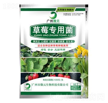 ��ݮ���þ�-΢Ԫ����