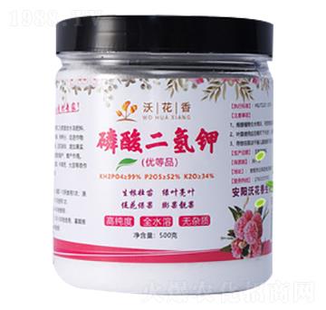 ��������-�ֻ���-�f�l(xi��ng)�S����