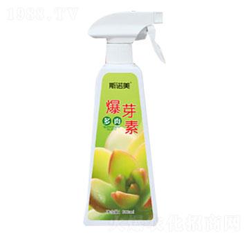 ���ⱬѿ��-�r������