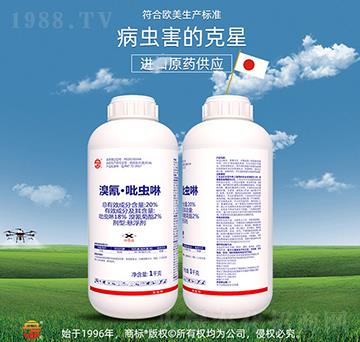 20%���衤���x(ch��ng)��-��