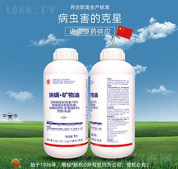 73%Ȳ�M(m��n)���V����-��