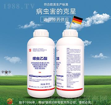 22.4%���x(ch��ng)����-��