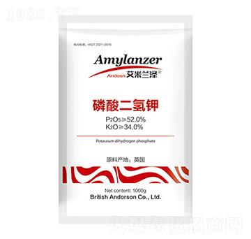 ��������-�����m��-���Վ�����