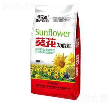 �������ܷ�-�у|��