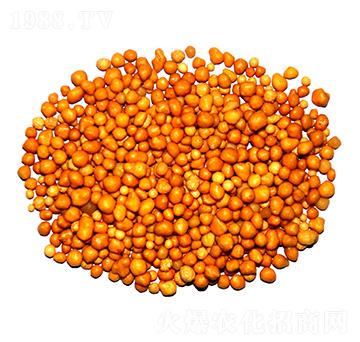 ����n�w����ጷ�15-