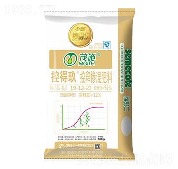 ���b��ጓ������19-