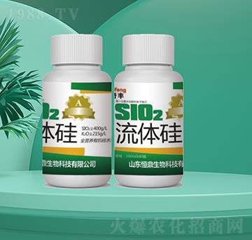 ���w��-�㶦����