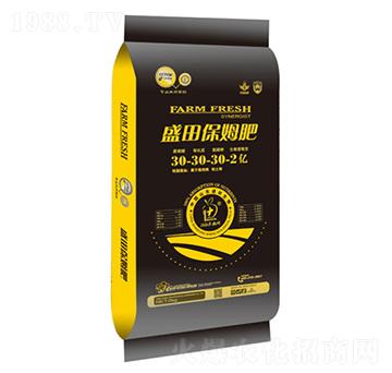 ʢ�ﱣķ��30-30-