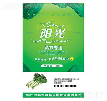 �n�S����-ꖹ�-��������