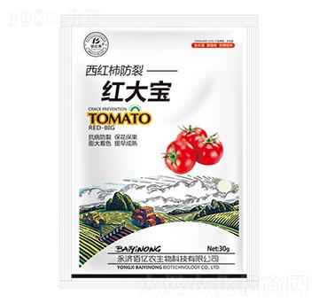 ���t�����Ѽt��-�ۃ|�r(n��ng)����