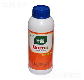 �ЙC���-�~��-ïʩ