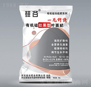 �ЙC(j��)��ѹ����~���-��