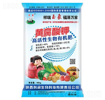 �S����������ЙC(j��)��-�Ɲ�����