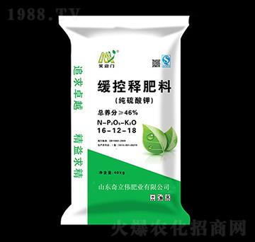 ������⛾���ጷ���16