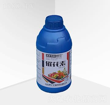 �߻���-���A����