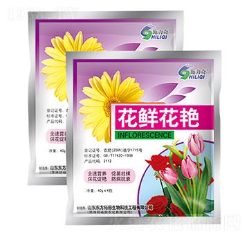 ���r���G-ʩ����-ԣ��߿�