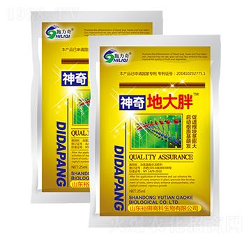 ����ش���-ʩ����-ԣ��߿�