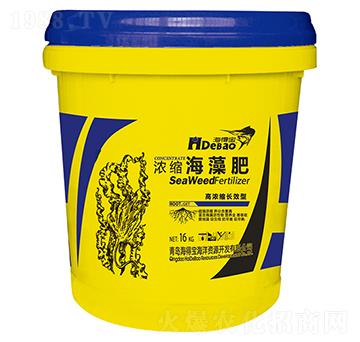 ��s�����-���Ì�