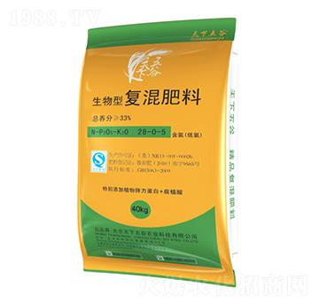 �����͏�(f��)�����28-0