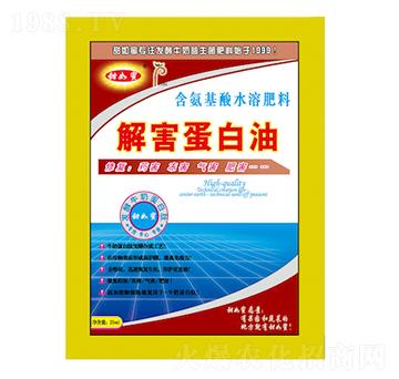 �⺦������-������