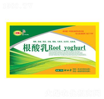 ������-������