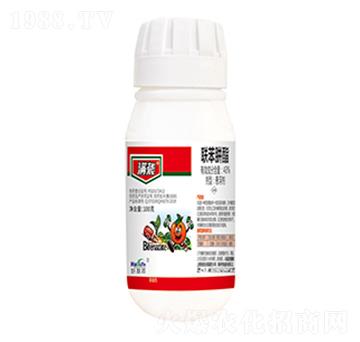 43%(li��n)������-�M�u-����������