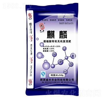 ��ֲ���ЙC�o�C��(f��)���-����-ʢ�S�r(n��ng)�I(y��)