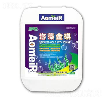 ������-�W����-����