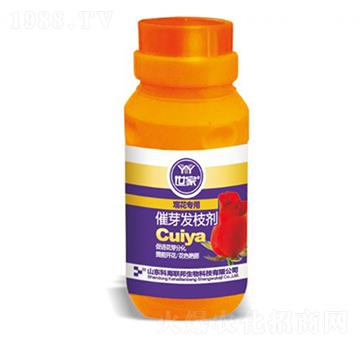 �^�����ô�ѿ�l(f��)֦��-��