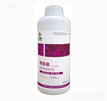 �Ǵ���-�ڼZ