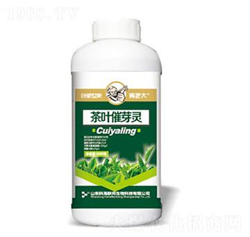 1000g���~��ѿ�`-�S�ϴ�-�ƺ�(li��n)��