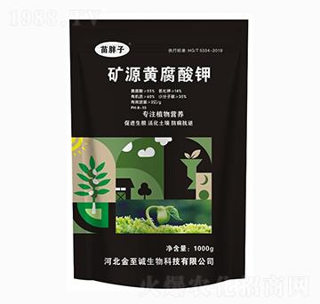 �VԴ�S�����-������-�����\