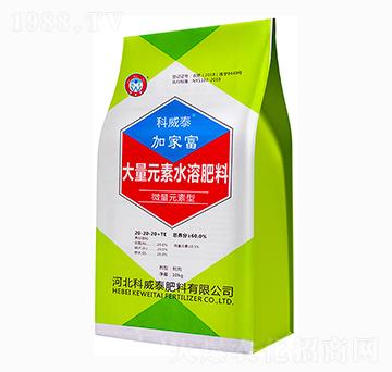 �ӼҸ�����Ԫ��ˮ�ܷ�-����̩