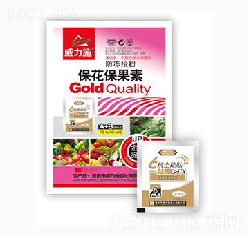 ����������-����ʩ