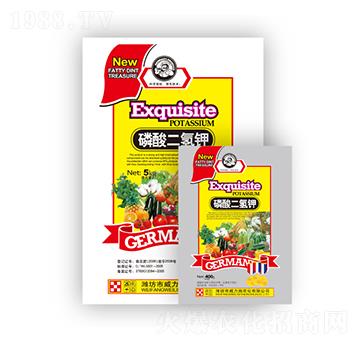 ��������-����ʩ