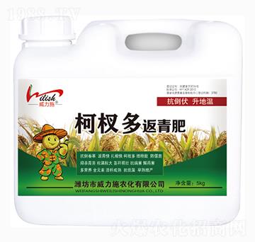 ��辶෵���-����ʩ