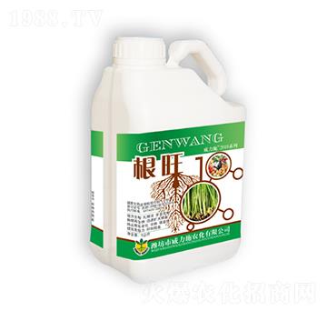 ����-����ʩ